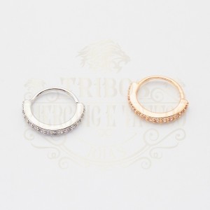 PIERCING ARGOLA CRAVEJADA BANHADA