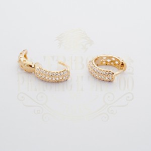 BRINCO ARGOLA BANHADO CRAVEJADO